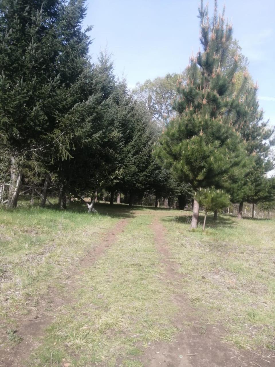 Cabana May Pao, Para 3 En Melipeuco Cerca Del Parque Nacional Conguillio מראה חיצוני תמונה