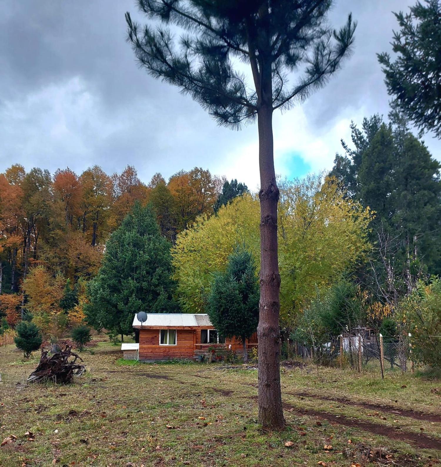 Cabana May Pao, Para 3 En Melipeuco Cerca Del Parque Nacional Conguillio מראה חיצוני תמונה